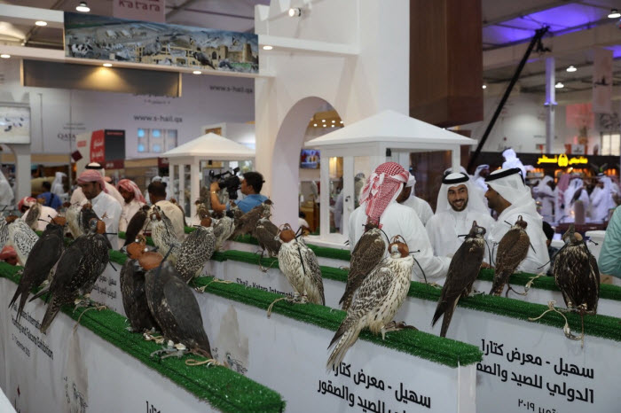مشاركة دولية متنامية وإقبال كبير في معرض «سهيل» للصيد والصقور في «الدوحة» 